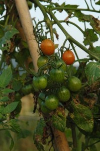 1380943980-1766619307