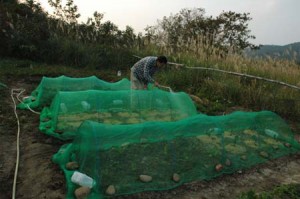 1380943980-3377815737