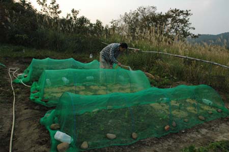 1380943980-3377815737