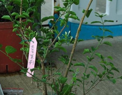 1380943981-3136237634