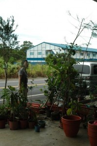 1380943981-3937297685