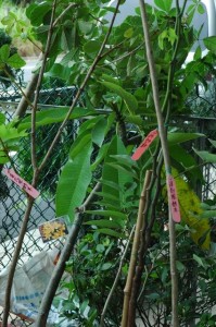 1380943983-3541108838