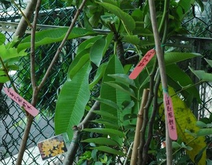 1380943983-3541108838