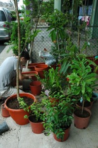 1380943983-3630971139