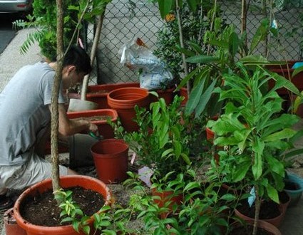 1380943983-3630971139