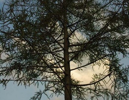 1380943985-3341899075