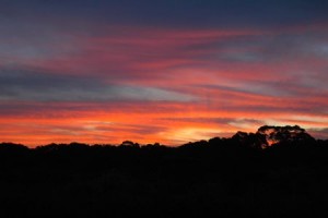 1380943987-1016874475