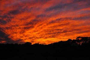 1380943987-3712632360