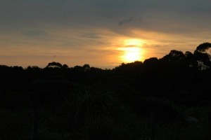 1380943988-2756167207