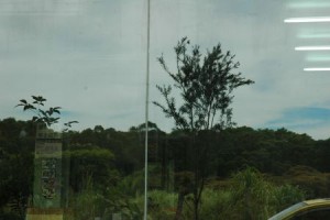 1380943989-885859069