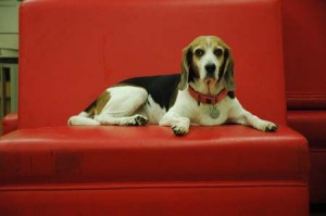 1380944218-2017415171