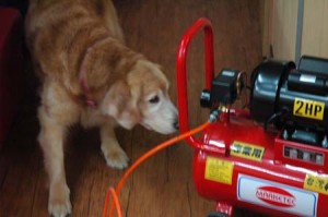 1380944220-4288869006