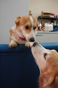 1380944221-3492306879