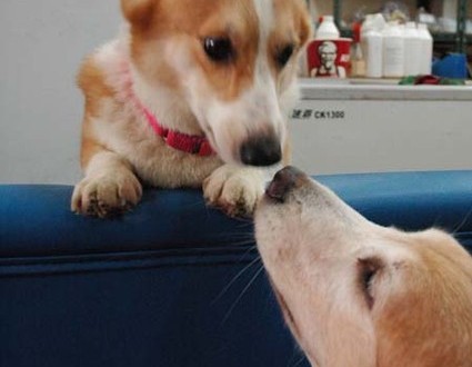 1380944221-3492306879