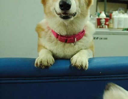 1380944221-408857426