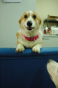 1380944221-408857426