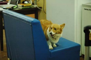 1380944222-547036039