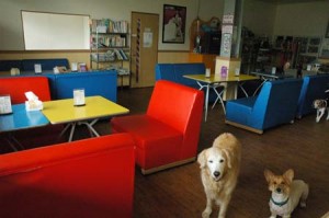 1380944223-2468471257