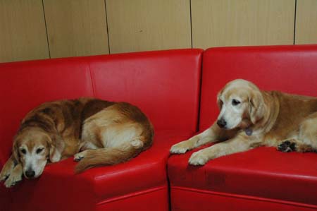 1380944223-3682296620