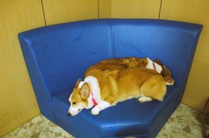 1380944224-3204106938