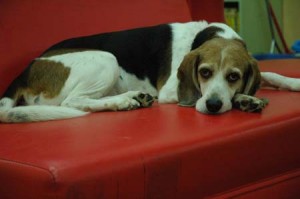 1380944224-726153147