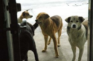 1380944238-2105532367