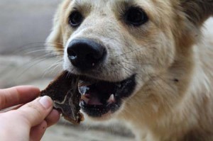 1380944239-1723415230