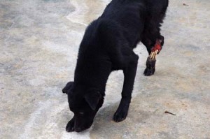 1380944239-2309255808