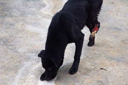 1380944239-2309255808