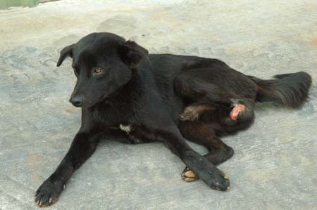 1380944239-4094596936