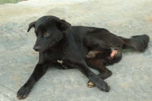 1380944239-4094596936