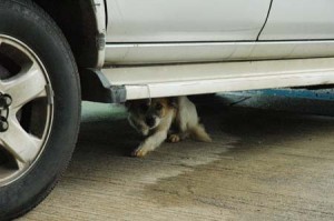 1380944240-2631112742