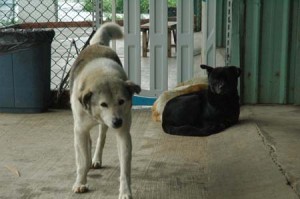 1380944241-3369676459