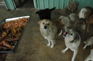 1380944243-4109628455