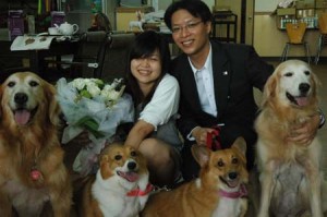 1380944401-1485787579