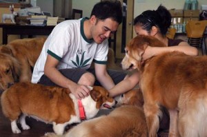 1380944403-2638449060