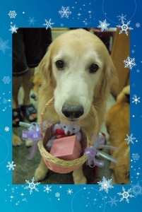 1380944404-1010357029