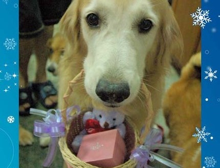 1380944404-1010357029