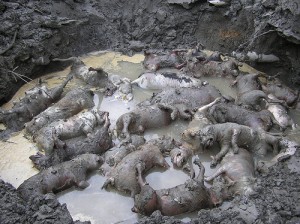 1380944405-204159605