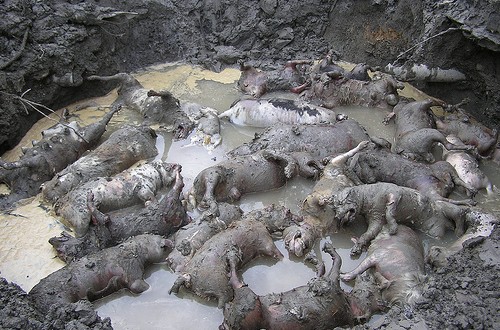 1380944405-204159605