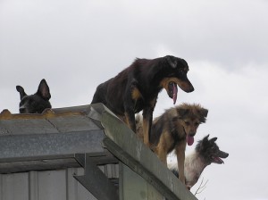 1380944405-3230606912