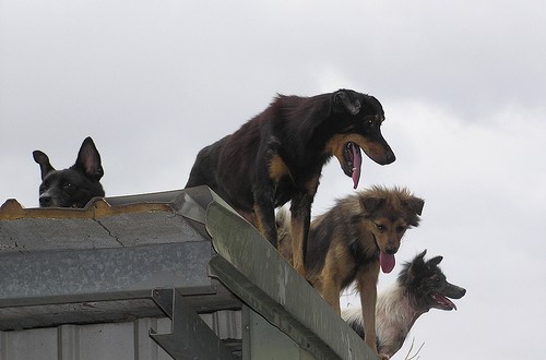 1380944405-3230606912