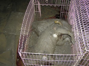 1380944406-1161682101