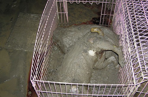 1380944406-1161682101