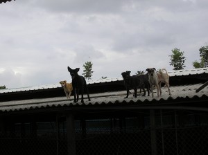 1380944407-457053943