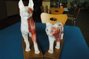 1380944414-1739461719