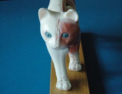 1380944414-2466047558