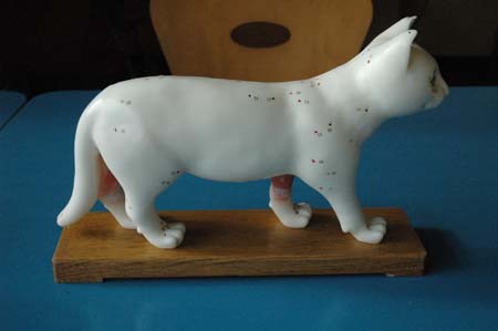 1380944415-2304961586