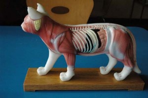 1380944415-4239885482