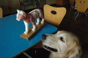 1380944416-3935902344